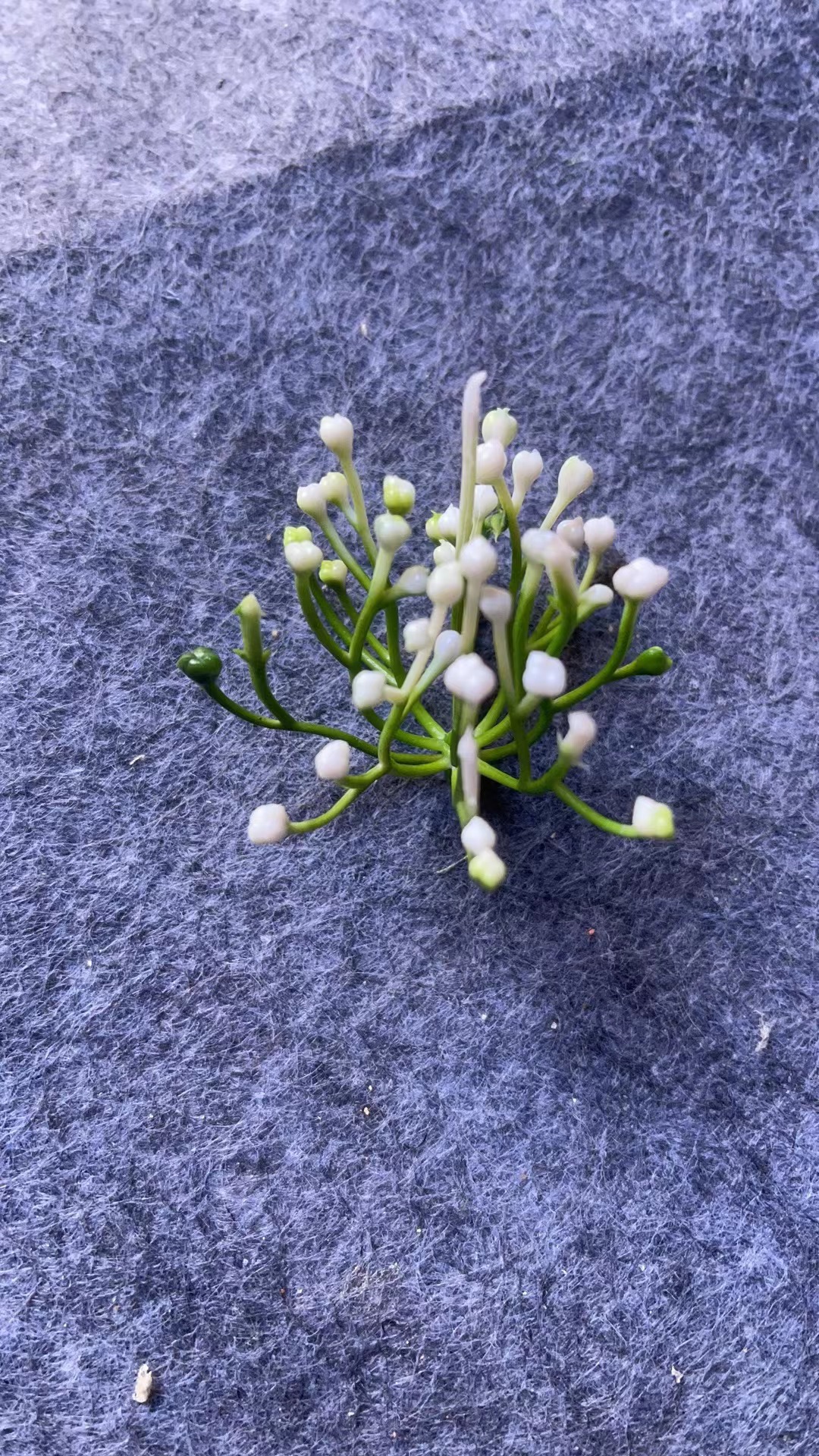 仿真花水草配件新款塑料盆栽家居摆件办公文化仿真园艺装饰植物详情11