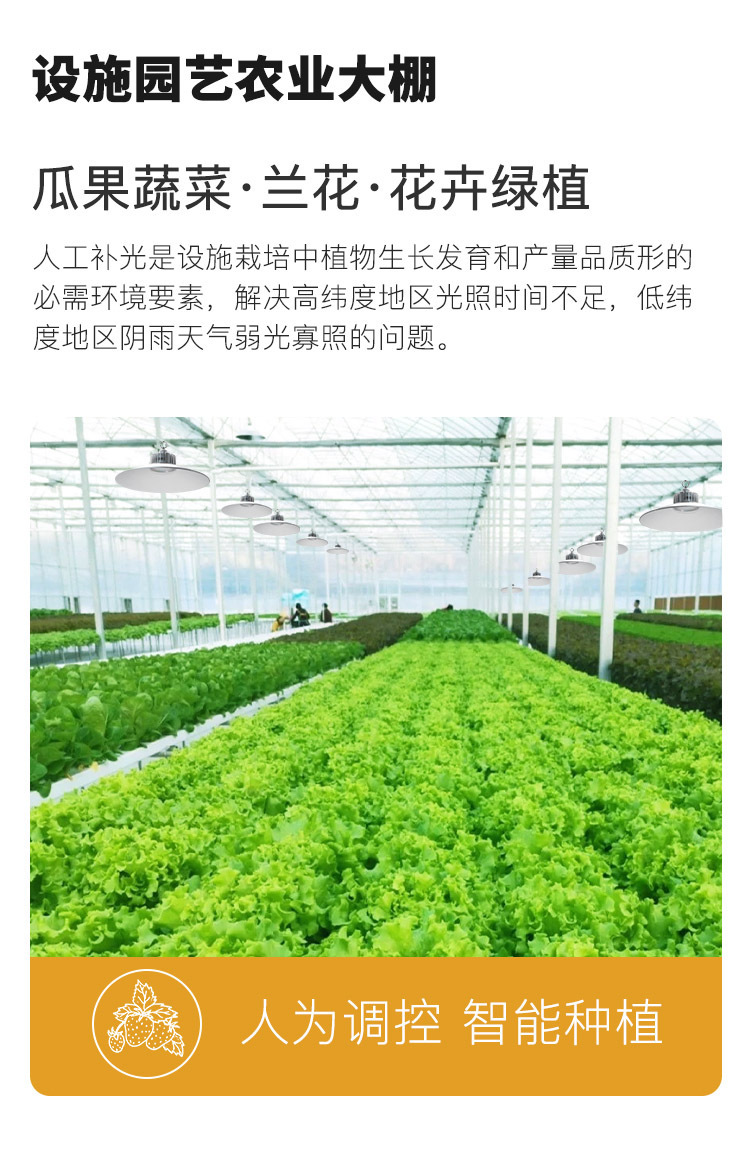 Special supplementary lighting lamps for greenhouse plants, indoor household vegetable, green plant, rose, orchid and flower growth lamps, imitation sunlight lamps pic 8