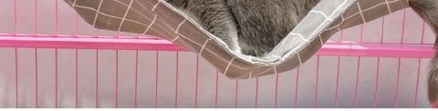 Factory pet supplies canvas cat cages, hammocks with fleece hanging, adjustable length, pet cat hanging beds pic 14