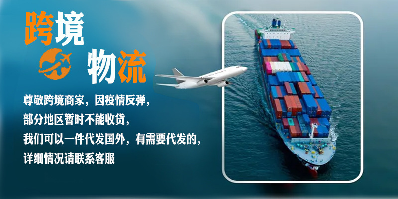 ZL1396现货2024秋季新款跨境女装时尚气质长袖西装直筒长裤套装详情41