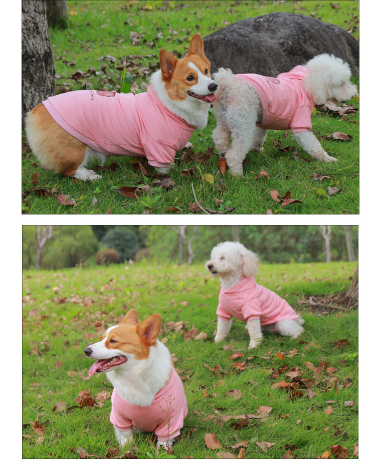 Pet it cartoon cotton dog hoodies, Corgi teddy puppies, cherry clothes, Amazon pet clothing wholesale pic 7
