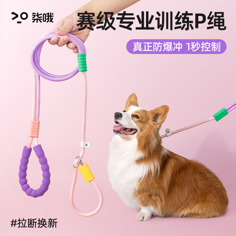 狗狗牵引绳防爆冲p绳中小型犬防挣脱链大型犬拴狗绳套脖遛狗用品详情1
