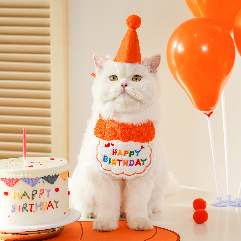 跨境宠物狗狗猫咪生日装扮围兜派对用品口水巾毛毡帽子厂家直销详情12