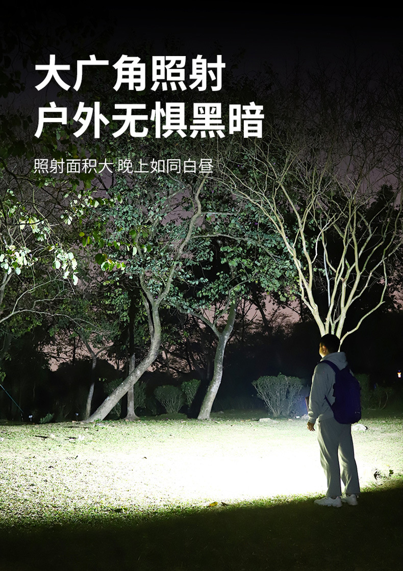 大功率太阳能灯路灯庭院灯太阳能板100W防水照明详情9