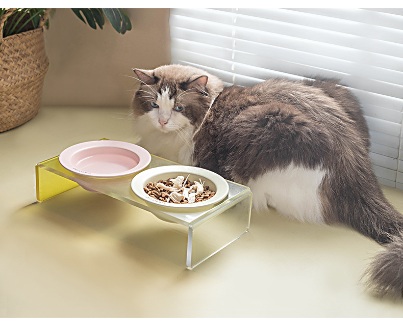 哇噢定制韩国bd同款飞碟宠物碗猫粮碗饮水碗陶瓷猫碗防黑下巴狗碗详情8