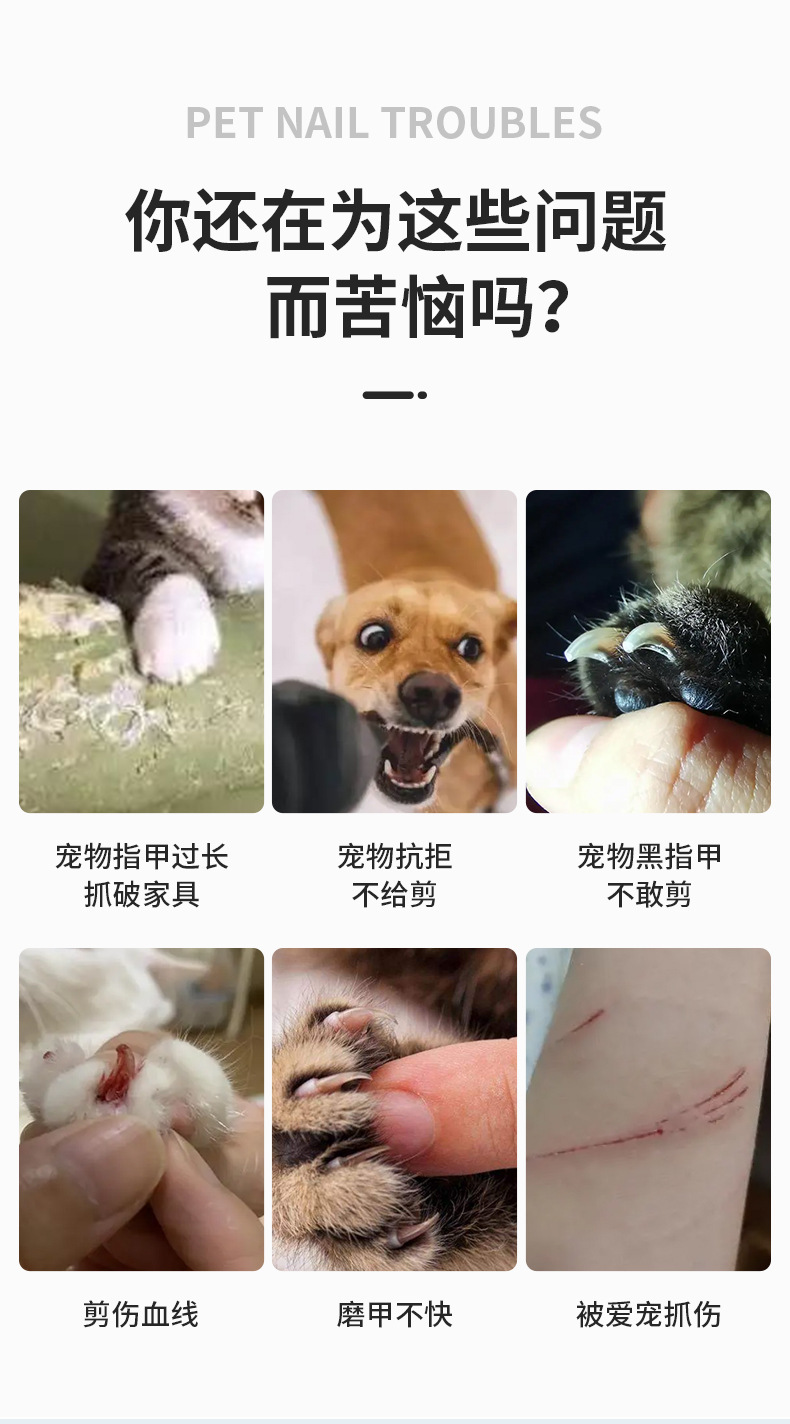 Cross-border exclusive pet nail sharpener, cat and dog nail clippers, USB charging, vacuuming, nail sharpener, LED light, electric nail trimming pic 3