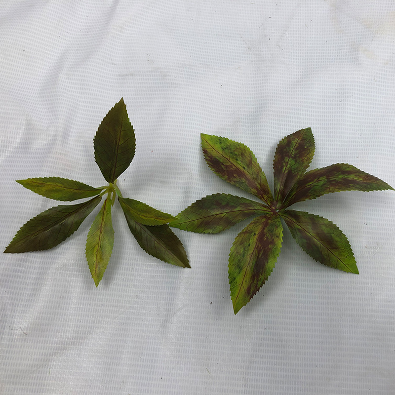 仿真植物马醉木绿植吊钟树叶工程园林造景家居装饰厂家批发马醉木详情14