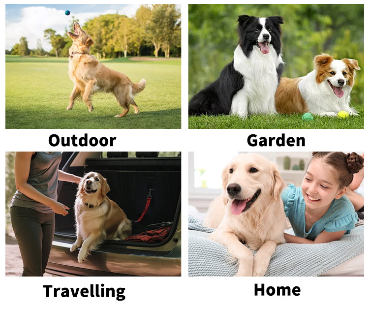 Foreign trade cross-border pet products, pet hand sanitizers, cat and dog bathing, cleaning, dry cleaning, wet wipes, gloves deodorizing pic 9