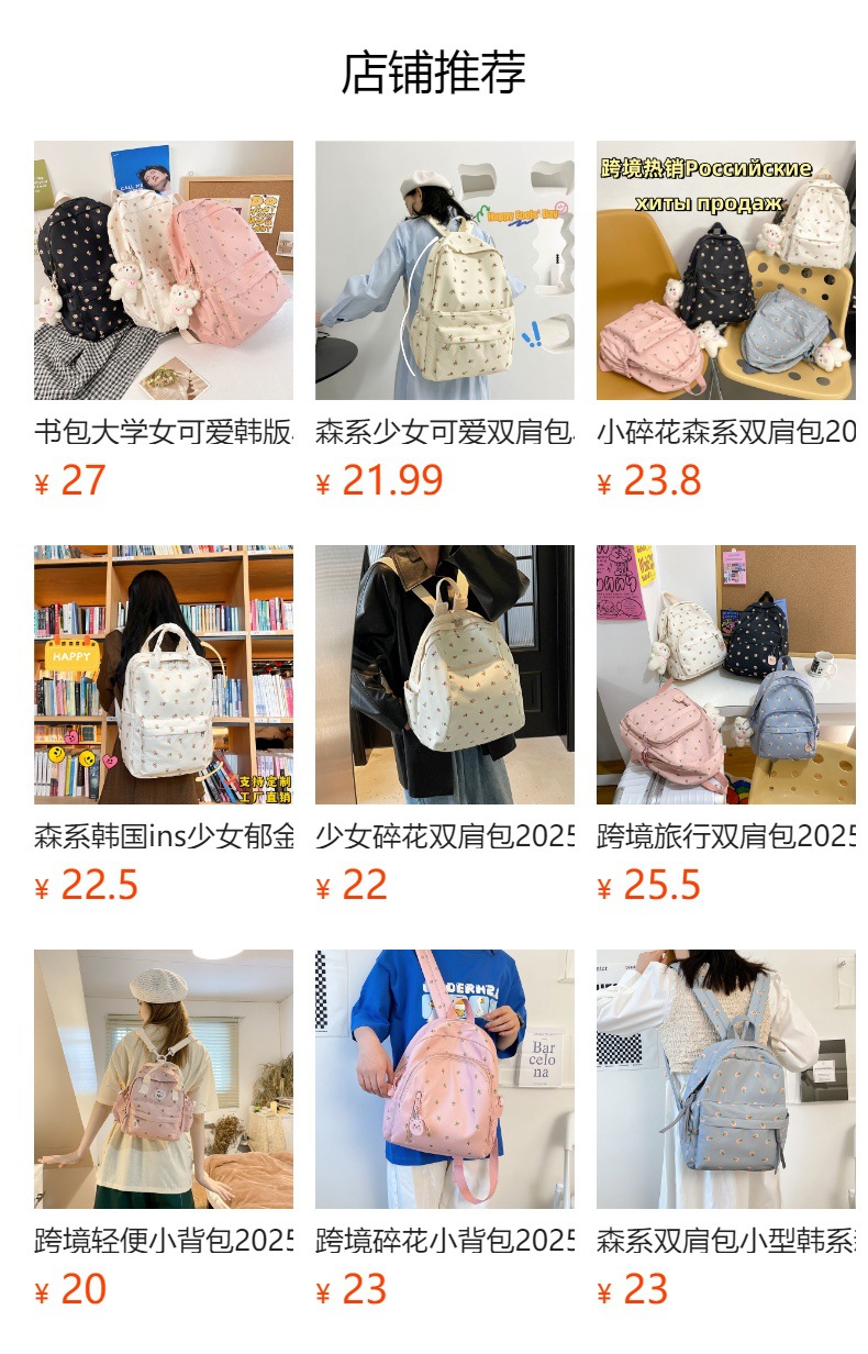Small 2025 cross-border new style high appearance level artistic and casual primary school schoolbag, commuting and shopping small backpack pic 1