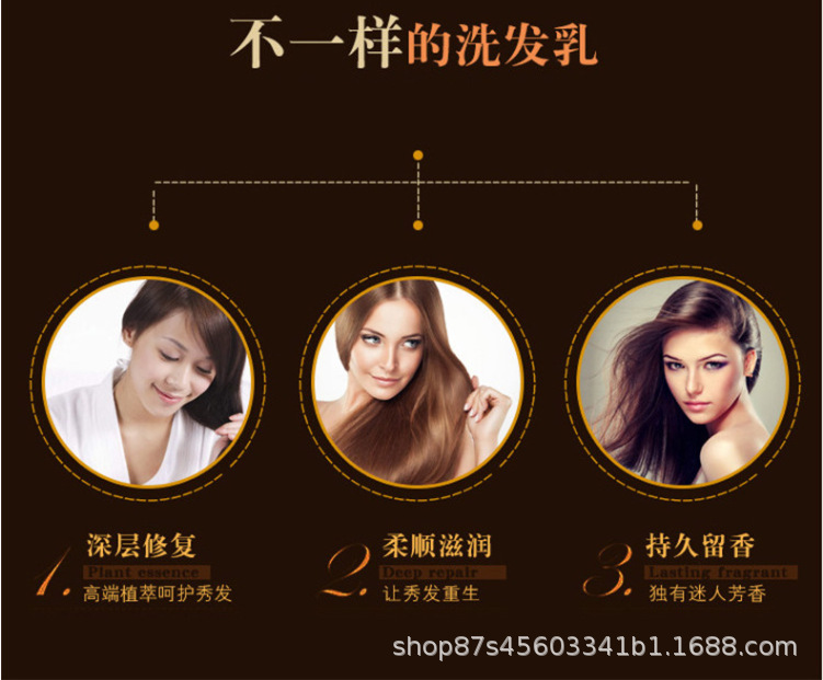 茶籽柔顺洗发露去屑止痒留香清洁头皮日用品家用洗发水代发批发详情13