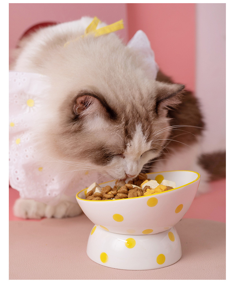 Customized Hepburn-style polka dot cat bowl, ceramic high-legged spine protection pet bowl, slanted cat basin, easy-to-clean ceramic food bowl pic 3