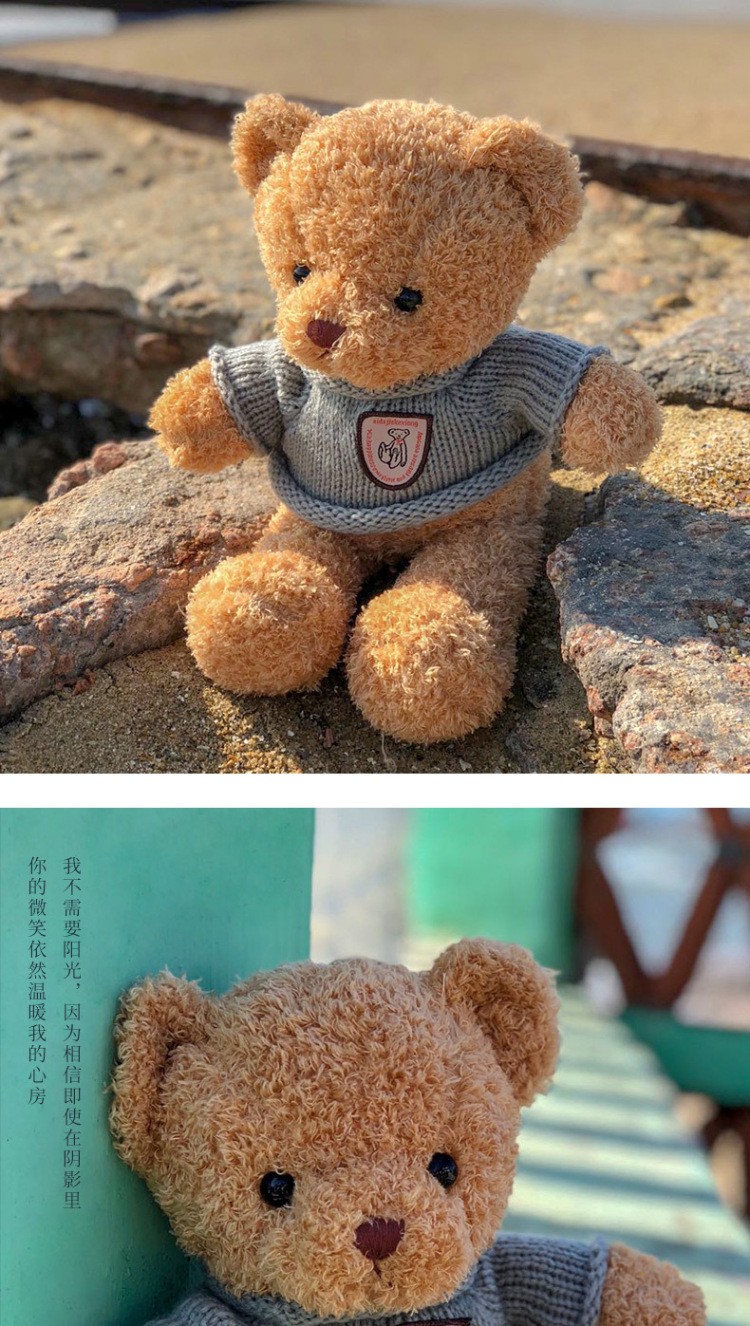 可爱抱抱熊泰迪熊公仔玩偶陪睡穿衣小熊布娃娃毛绒玩具礼物批发详情2
