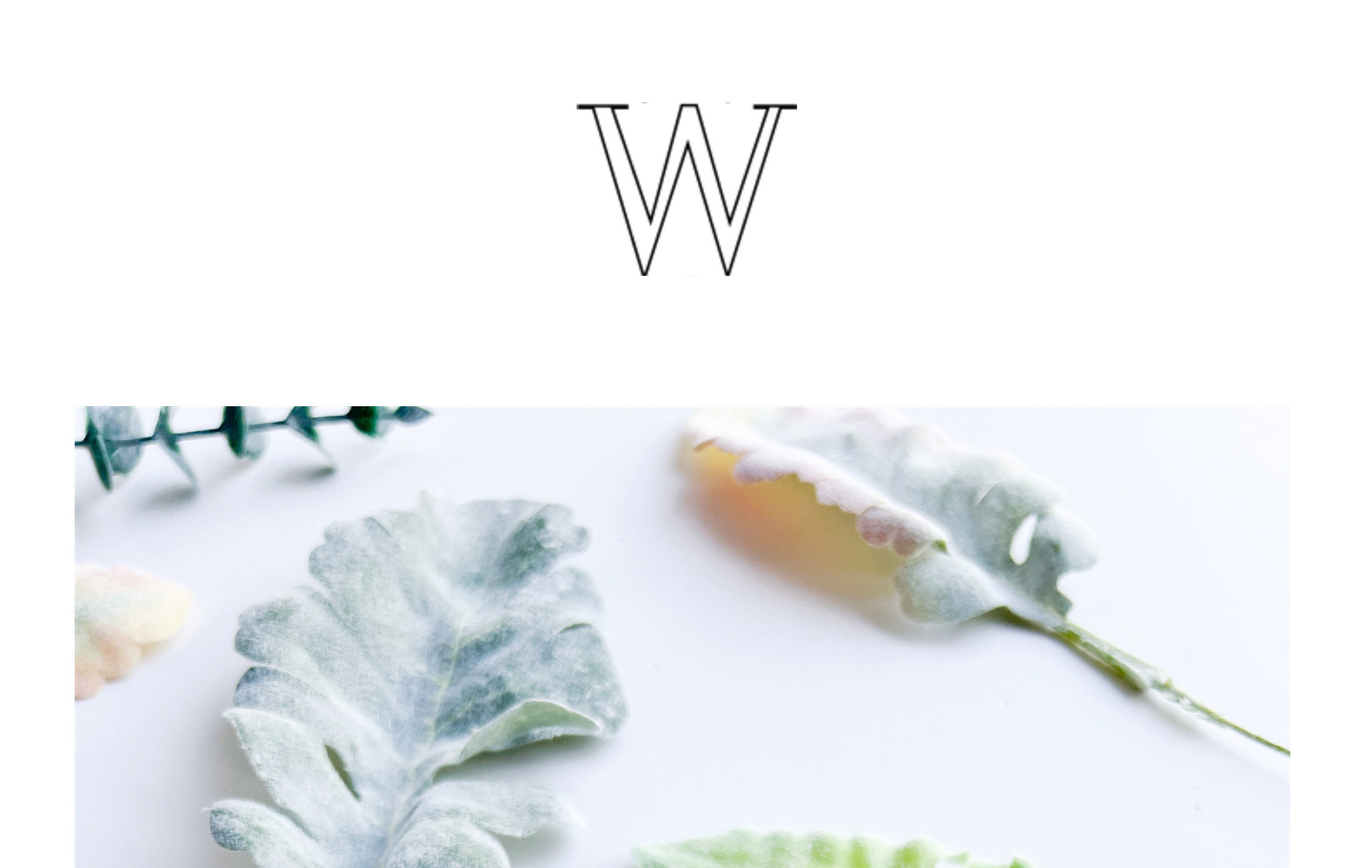 欧式银叶菊兔耳叶叶片配件情人节玫瑰假花餐桌家居绿植软装宠物园艺干花详情4