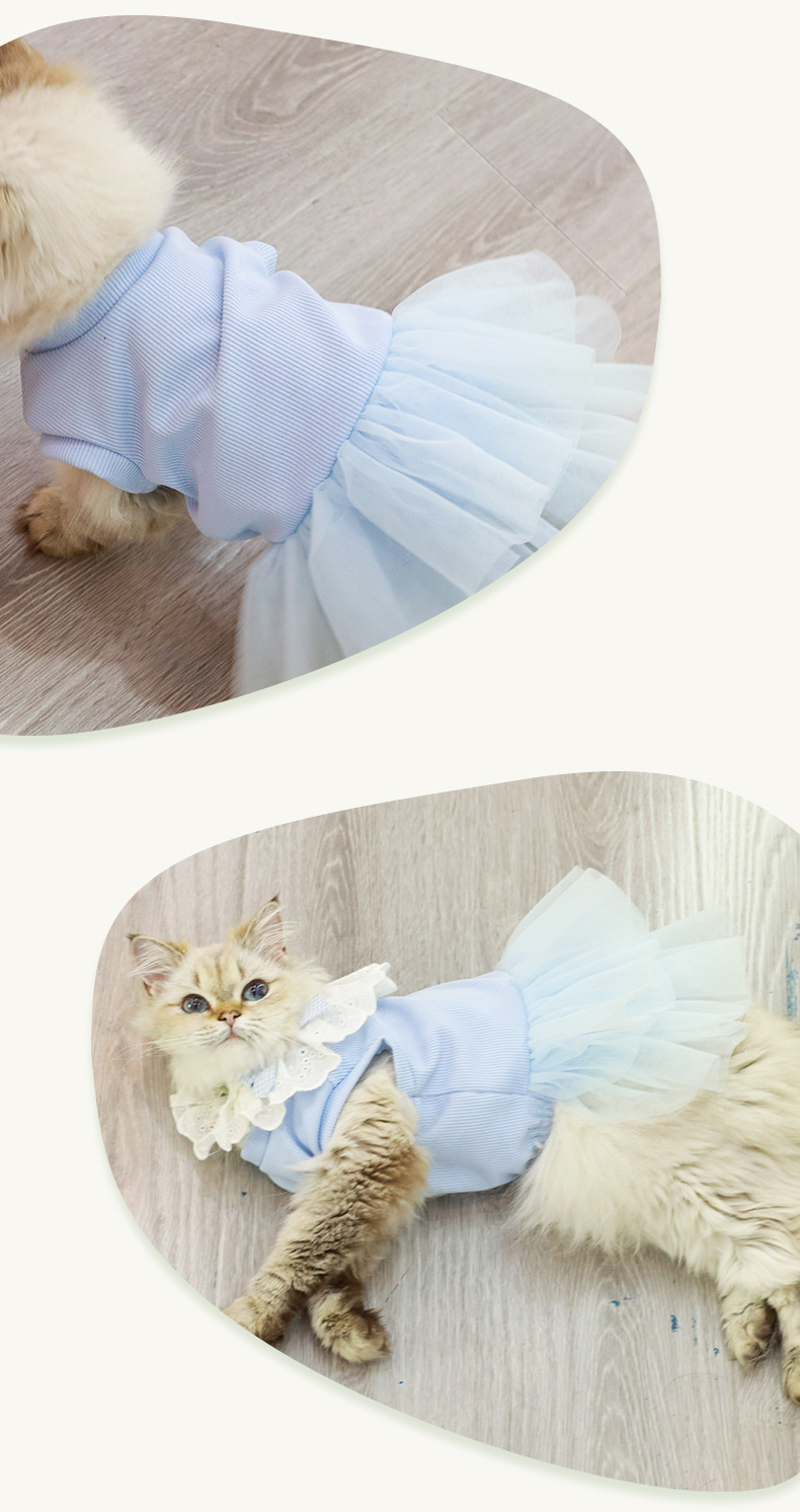 宠物公主裙现货爆款宠物衣服猫咪衣服源头工厂直销春夏轻薄纱裙详情8