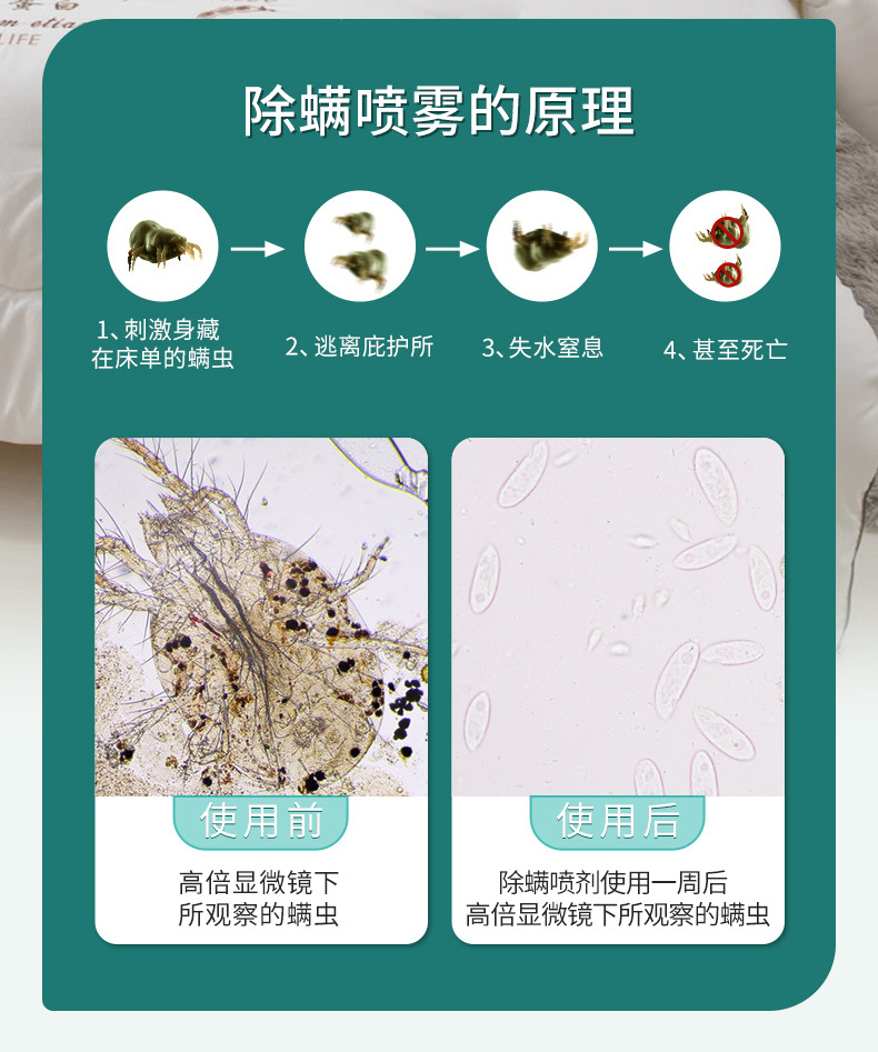 青花椒除螨剂螨虫喷雾剂床上免洗被褥衣物去除螨喷雾剂详情31