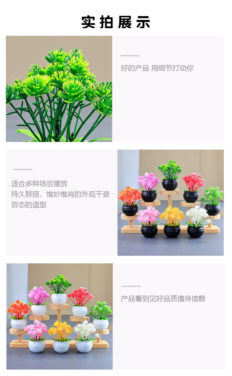跨境批发假多肉迷你塑料盆栽组合仿真花礼品塑料植物家居小摆件详情3