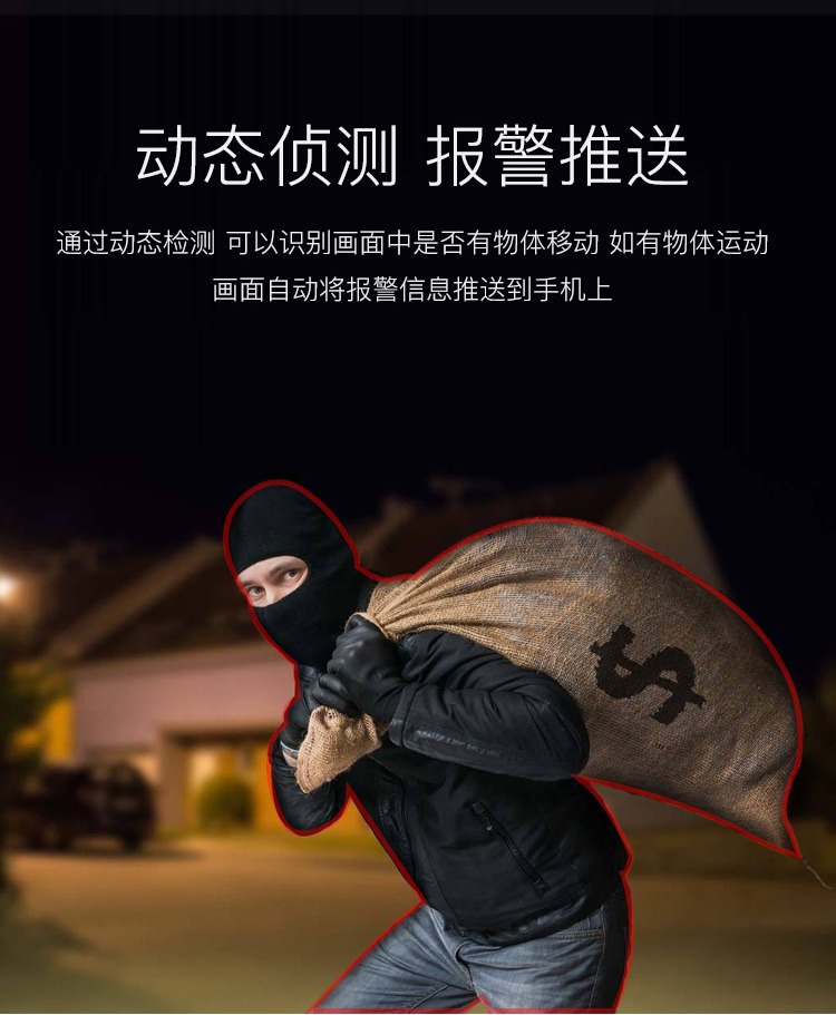 大华200万POE半球高清双光夜视监控摄像头带音频网络摄像机P20T1详情6