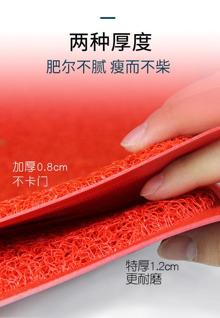 家用商用进门脚垫丝圈防水防滑门垫大门口入户地毯一件代发家纺详情7
