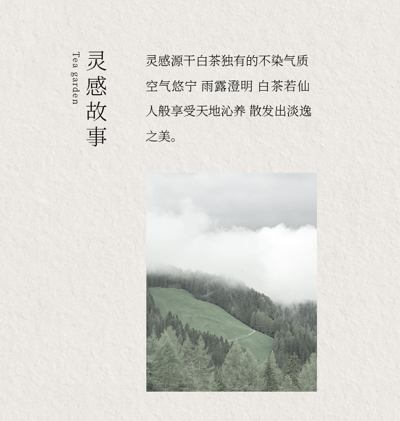 氤氲茶香详情_04.jpg
