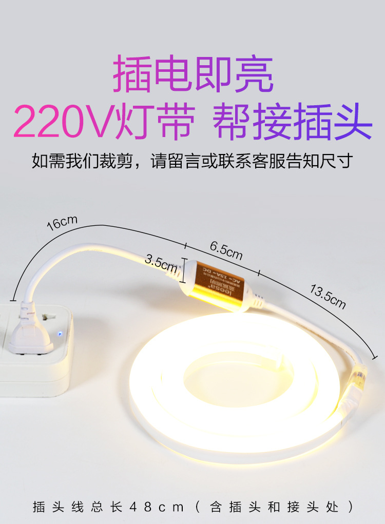 led灯带灯箱220v高压柔性硅胶灯带霓虹灯灯条户外彩灯批发详情6