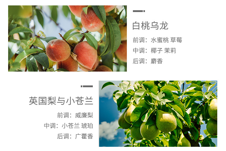 浪漫时光衣柜香薰蜡片衣橱卧室家居除味清香薰香香片装饰摆件批发详情34