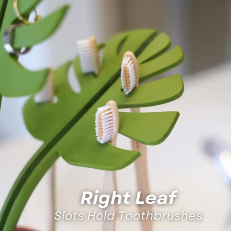 跨境新款Monstera Coaster龟背竹杯垫3D打印植物装饰品塑料工艺摆件详情9