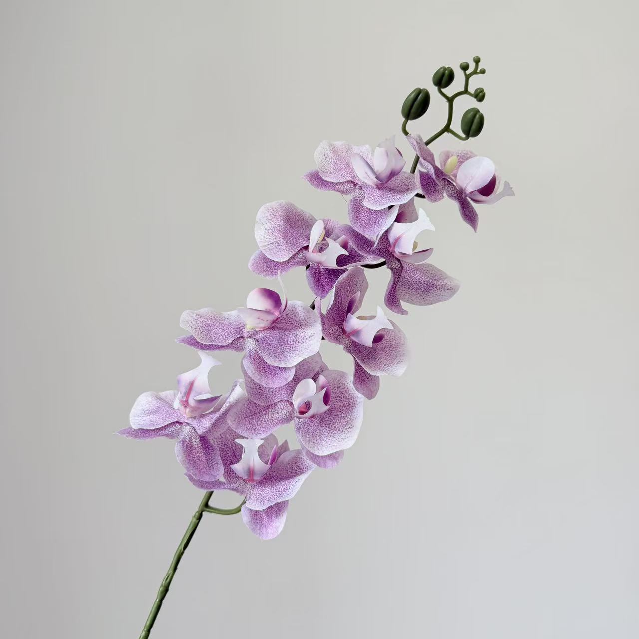 9头蝴蝶兰仿真花手感高级感逼真假花兰花艺场景布置酒店婚庆用花详情21