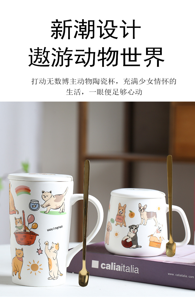 2.jpg?x-oss-process=image/format,png