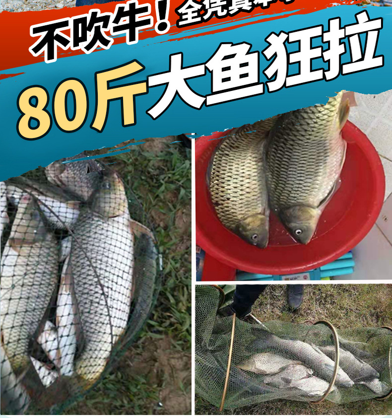 达瓦寻梦鱼竿手竿超轻超硬钓鱼竿19调鲤鱼鲫鱼竿28调台钓杆高碳素详情16