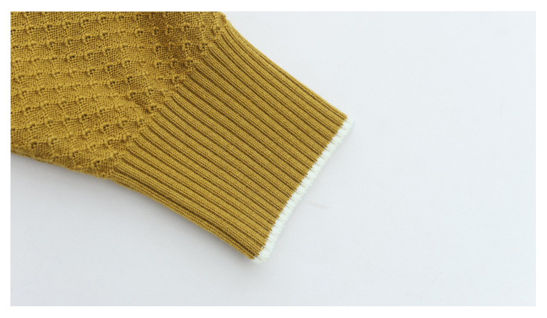 2024新款翻领含羊毛女士针织衫套头衫春秋韩版时尚气质上衣打底衫详情15