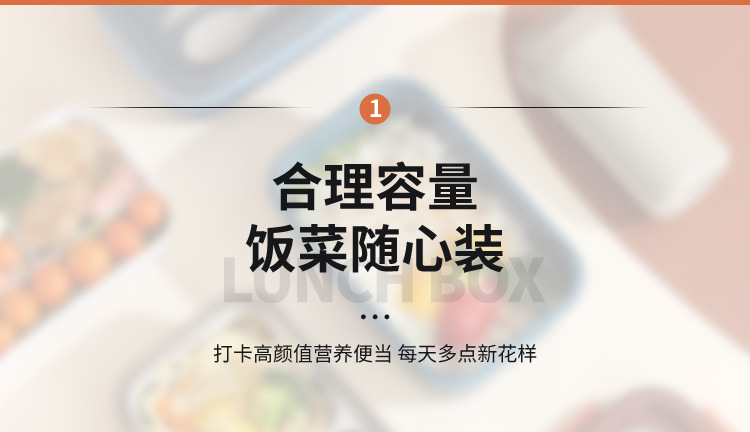 INS风304不锈钢饭盒密封防漏午餐盒带汤杯外出野餐轻食便当盒餐盒01571详情4