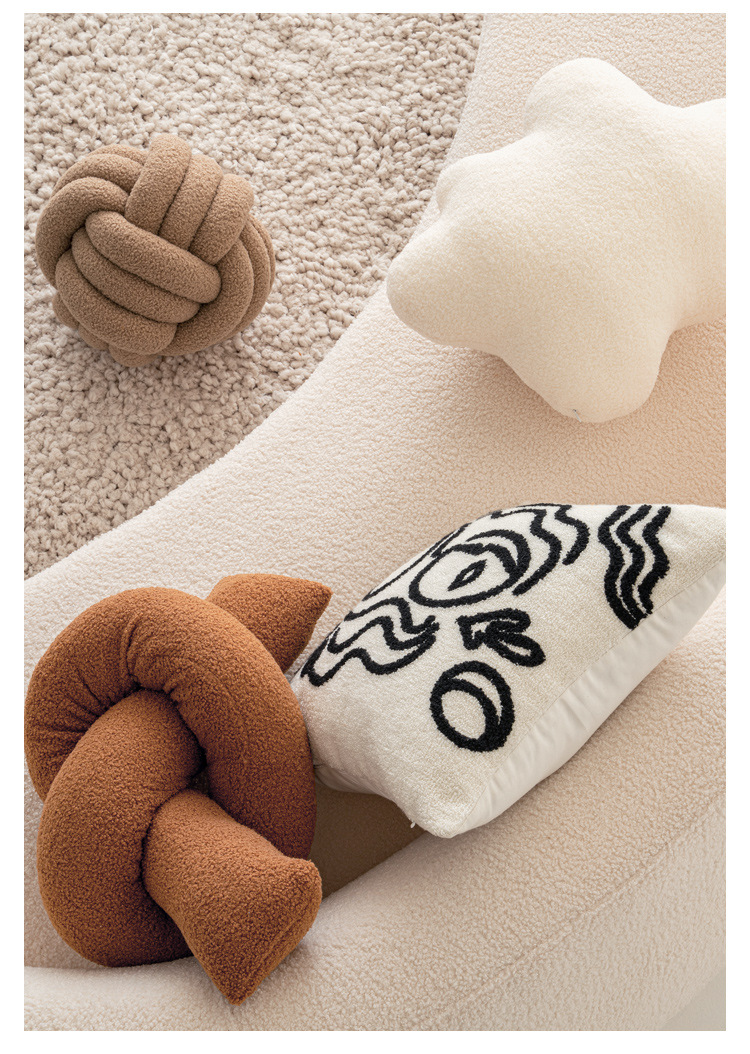 The quirky and irregular-shaped teddy plush pillow, the cream Ins-style decoration of the homestay, and the high-end sofa cushion waist are selling well on Amazon pic 13