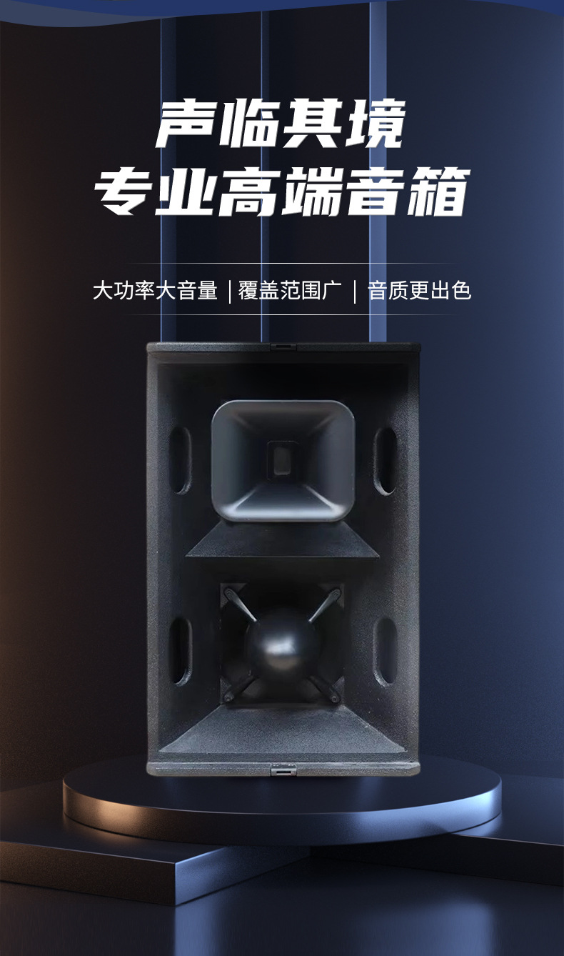 厂家直销T24N双12英寸远程全频酒吧舞台户外演出专业音箱详情2