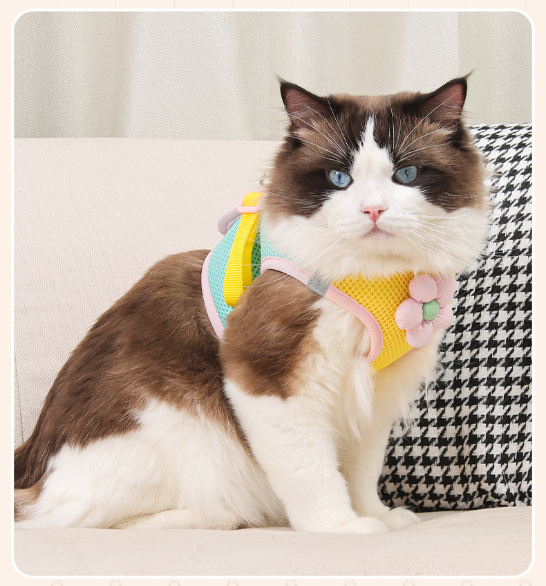 Nuevo estilo de cuerda de tracción de gato lindo pequeño tamaño perro pecho arnés tipo chaleco pet pecho espalda anti-liberación envoltura completa pic 13
