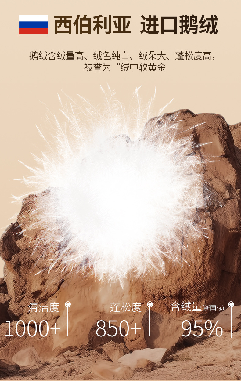 详情D2007_04