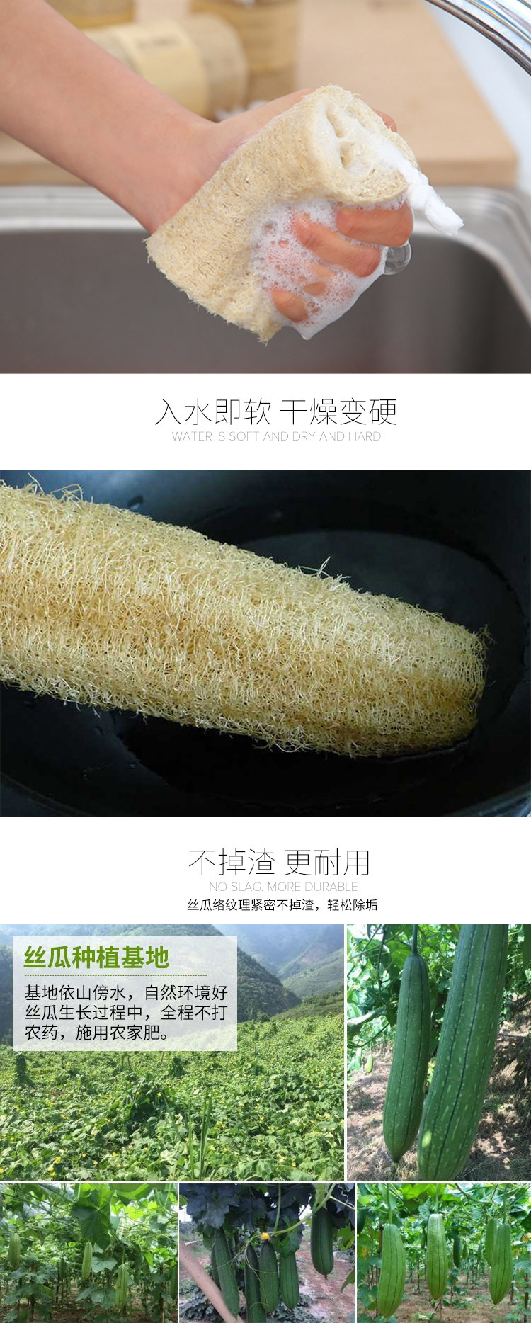 丝瓜络天然丝瓜瓤洗锅洗碗擦整根丝瓜烙抹布日用百货洗澡巾跨境详情5