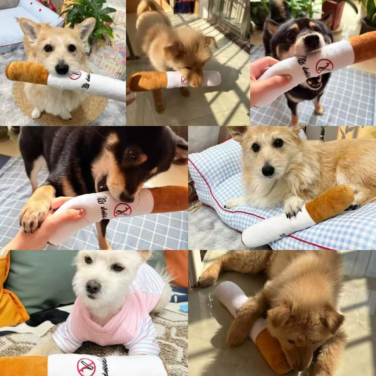 新品宠物毛绒玩具耐咬磨牙香烟抱枕可爱造型宠物玩具详情5