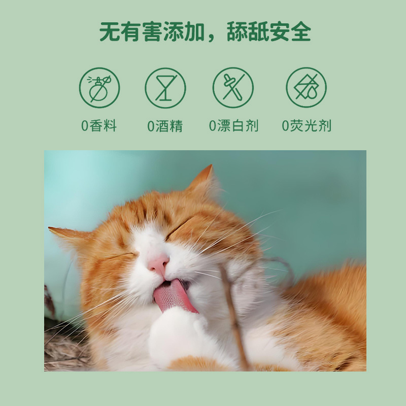 宠物湿巾100抽猫狗专用免洗清洁除臭湿巾纸亚马逊跨境外贸OEM定制详情2
