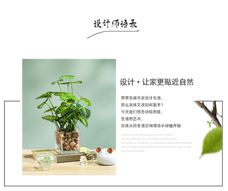 北欧ins假花绿植盆栽摆件家居客厅室内装饰迷你植物盆景详情11