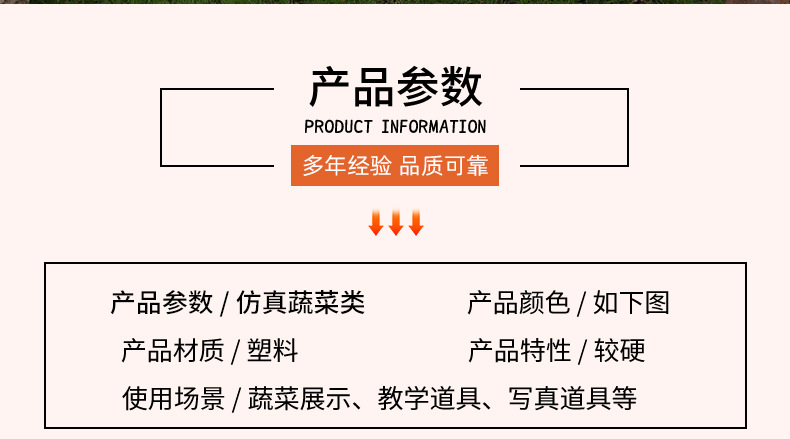 仿真白菜娃娃菜小白菜蔬菜橱柜早教摆件蔬菜道具玩具模型仿真果蔬食物道具详情2