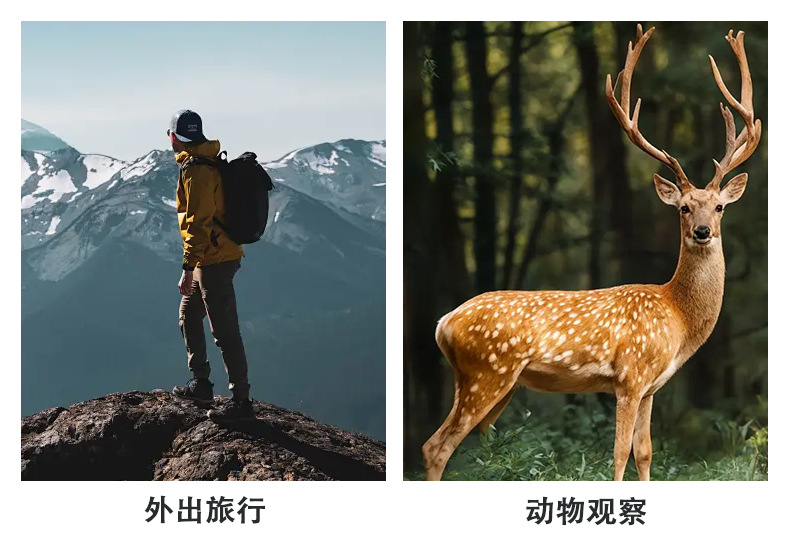 艾博睿新款DT-A10X42双筒望远镜高倍高清直筒便携户外观景跨境详情38