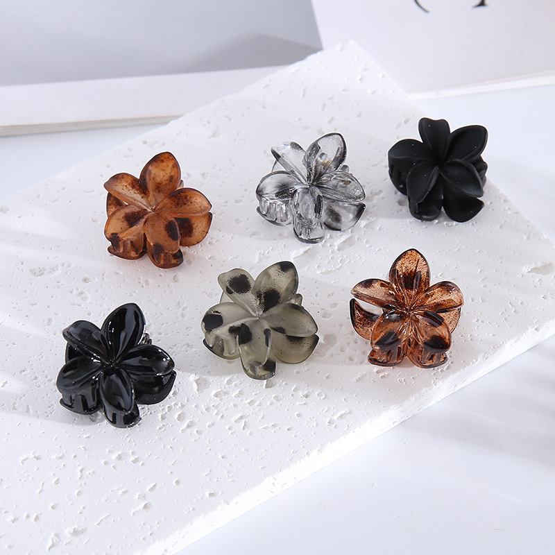 Coffee-colored small hairpin, matte and frosted bangs, hair clipper, small hair clipper for top and side decoration, cross-border hair accessory wholesale pic 15