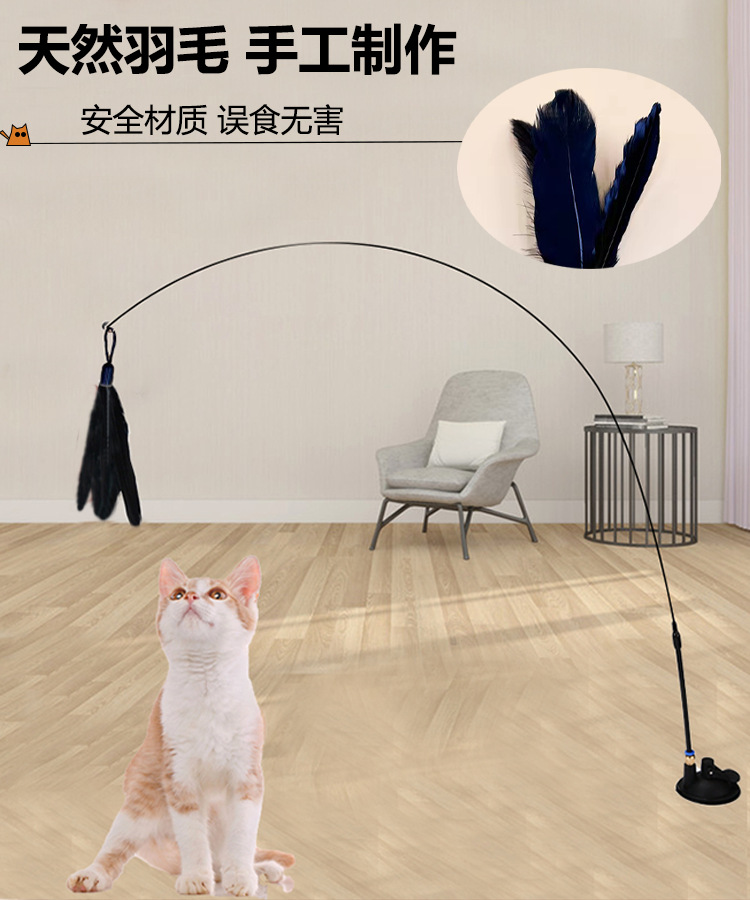 强力吸盘逗猫棒钢丝长杆羽毛猫玩具自嗨解闷耐咬逗猫神器宠物玩具详情3