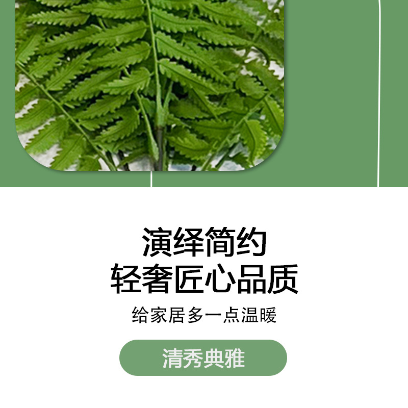 仿真蕨类100款绿植塑料叶场地绿化公园布景工程装饰酒店软装批发详情6