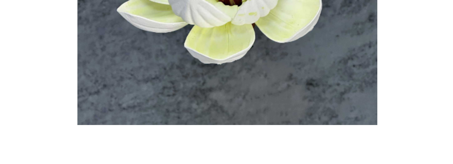 跨境仿真花EVA玉兰花头13cm手感头饰木棉花布置装饰假花摆件批发详情10