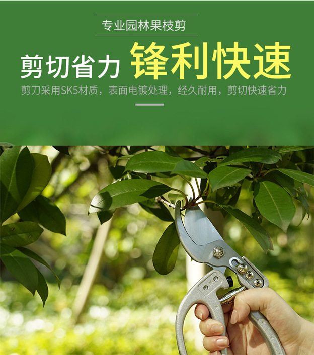 佰世园艺树枝剪修枝剪园艺剪刀果园花艺专用摘果剪园林工具剪批发详情3