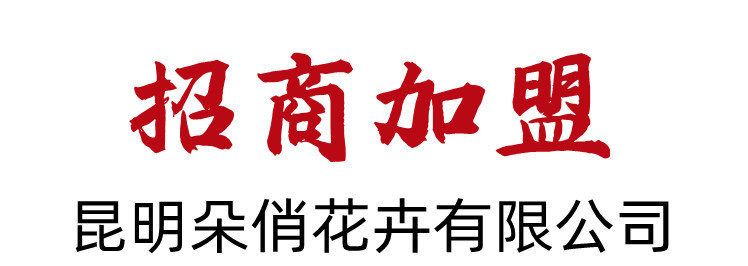未命名_副本1_副本