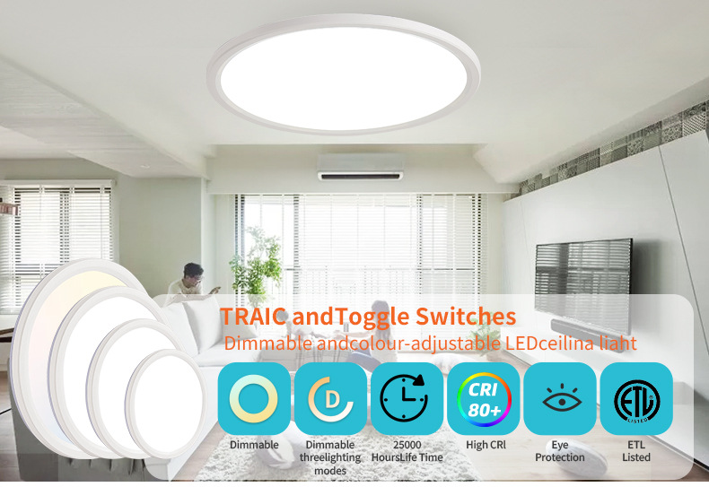 Amazon cross-border ultra-thin led ceiling light TRAIC dimming dip switch color adjustment CCT living room and bedroom lighting fixtures pic 3