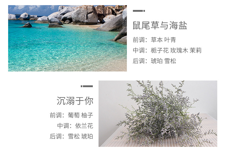 浪漫时光衣柜香薰蜡片衣橱卧室家居除味清香薰香香片装饰摆件批发详情30