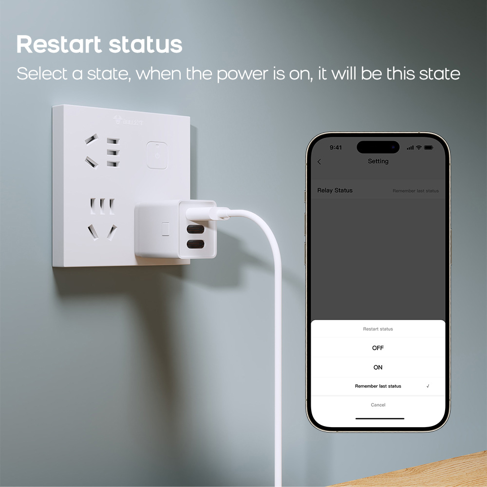 Tuya Smart WIFI Switcher, smart Switcher Tycp-C Smart Switcher, mobile phone switcher supports Al pic 6